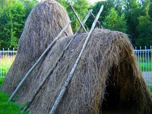 10 places to see in the suburbs of Saint Petersburg: Sestroretsk