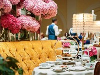 TEA LOUNGE restaurant in Saint Petersburg