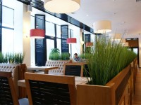 CHELENTANO restaurant in Saint Petersburg