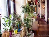 DEL MAR restaurant in Saint Petersburg